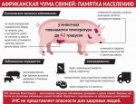 Памятка населению по Африканской чуме свиней (АЧС)