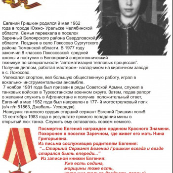 Гришкин Е.В