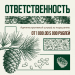 Порядок заготовки гражданами пищевых лесных ресурсов