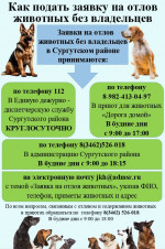 Как подать заявку на отлов животных без владельцев
