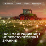 Агродиктант