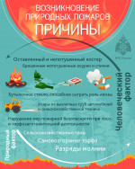 Возникновение природных пожаров
