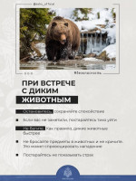 Инфографика