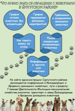 Что нужно знать об обращении с животными в Сургутском районе